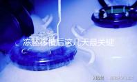 凍胚移植后這幾天最關鍵！一文揭秘重要原因