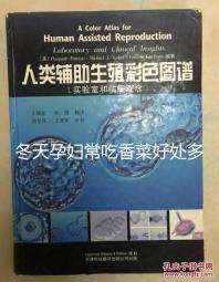 冬天孕婦常吃香菜好處多，搓成丸子味道更佳