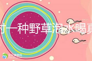 農村一種野草泡水喝真能治便秘!配合這九種中草藥效果更好