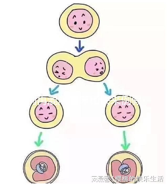 別再混淆著床和快來例假了,除了出血量還有這些區別