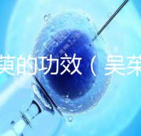 吳茱萸的功效(吳茱萸上火還是降火)