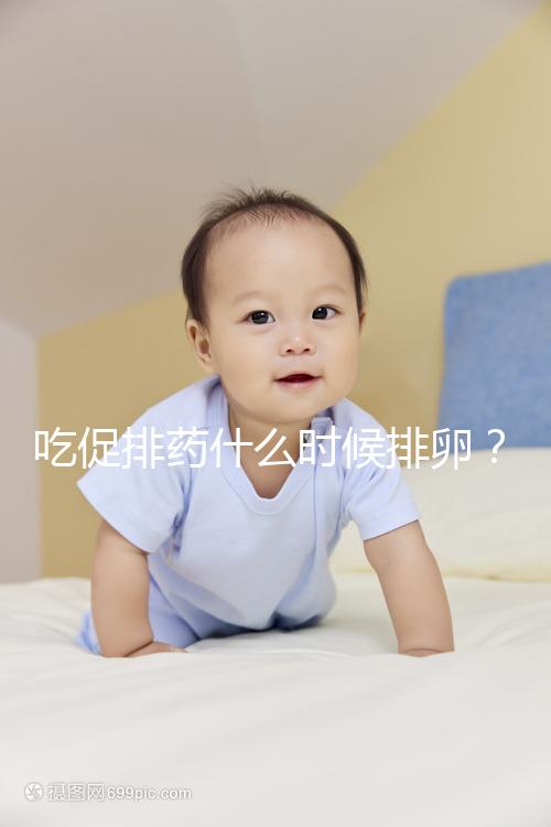 吃促排藥什么時候排卵?真沒有固定時間別信謠言