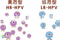 合肥做試管嬰兒要花多少錢？進周期前這些注意事項都來看看