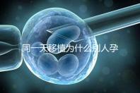 同一天移植為什么別人孕囊大答案公布,進(jìn)周前都看看