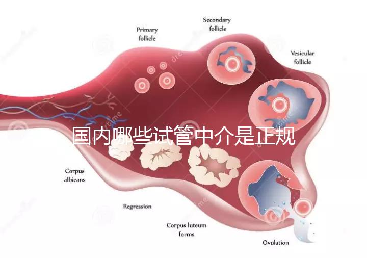 國(guó)內(nèi)哪些試管中介是正規(guī)的看過來,可不止北京百匯這一家