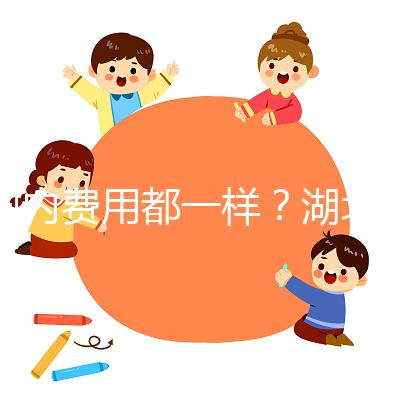 國(guó)內(nèi)費(fèi)用都一樣？湖北洪湖做一次試管嬰兒花費(fèi)明細(xì)看這里