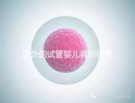 國外的試管嬰兒真的很有優(yōu)勢嗎（國外的試管嬰兒真的很有優(yōu)勢嗎視頻）