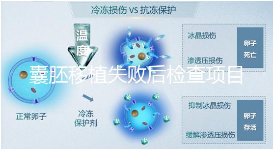 囊胚移植失敗后檢查項目,查免疫、內(nèi)分泌必不可少