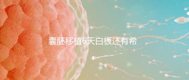囊胚移植6天白板還有希望嗎？別沮喪該來的總是會來的