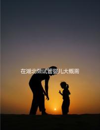 在湖北做試管嬰兒大概需要準(zhǔn)備多少費用?詳細(xì)費用解析