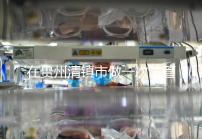 在貴州清鎮(zhèn)市做一次試管嬰兒要花多少錢?