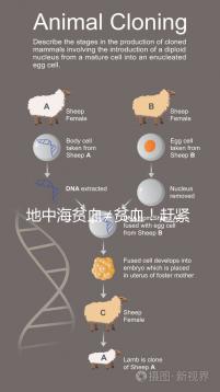 地中海貧血≠貧血！趕緊來看看地貧和貧血有什么區別