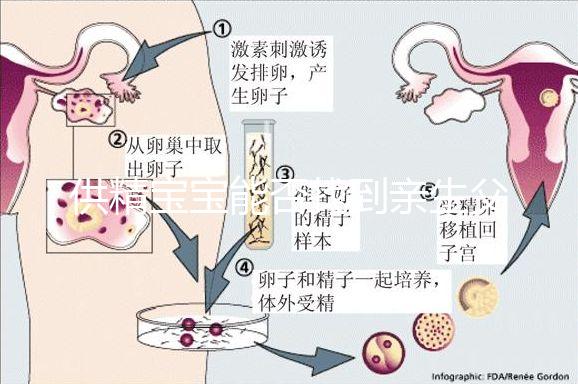 供精寶寶能否找到親生父親看這,就算尋到也沒有撫養義務
