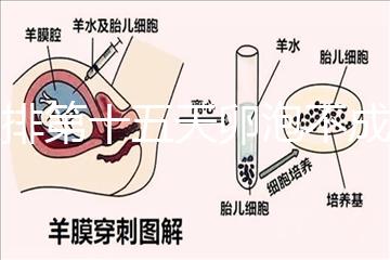 促排第十五天卵泡不成熟還可以治療！1.2等幾天就能長大