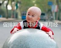 促排期間用中藥調(diào)理月經(jīng)需謹(jǐn)慎，請(qǐng)先弄清楚可不可以吃再說(shuō)