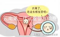 云南第三代試管嬰兒的費用是多少？如何選擇可靠的醫(yī)院？這篇文章的策略已經(jīng)為你做好了