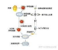 云南昆明三代試管助孕費用貴不貴呢？三代試管懷孕費用參考表！
