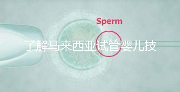 了解馬來西亞試管嬰兒技術(shù)看這里!為你科普5大醫(yī)院排名