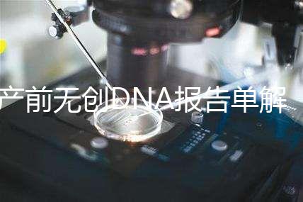 產(chǎn)前無創(chuàng)DNA報告單解讀：三項結果竟然暗示寶寶性別