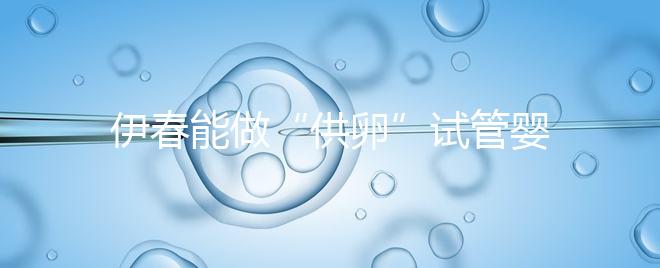 伊春能做“供卵”試管嬰兒?jiǎn)幔磕銈兿胫赖拇鸢冈谶@里