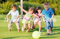 為什么懷孕早期的雙胞胎停止看，及時處理是首要任務(wù)