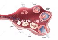 不玩文字游戲！汾陽做試管嬰兒成功率和費用一覽
