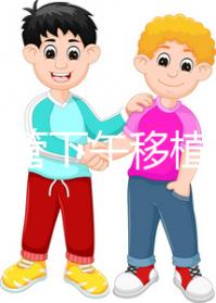 不懂試管下午移植上午要不要請假速覽，何時開始一看便知