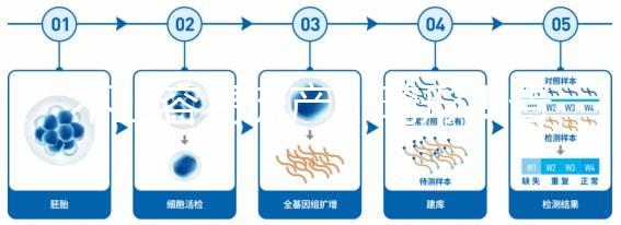 不止容易流產、畸形！告訴你為什么絕經以后不能生孩子
