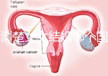 不清楚女女結婚哪個國家能領證來看，歐洲這些地區都可