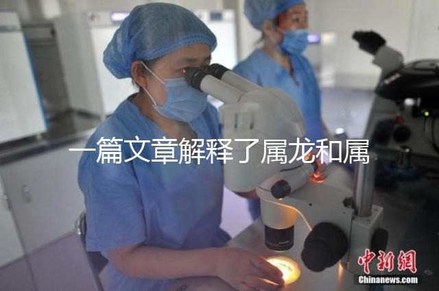 一篇文章解釋了屬龍和屬兔的人能否在一起，他們將如何全部包括在內(nèi)