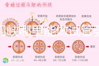 三門峽哪里能做試管嬰兒?從經(jīng)歷談成功率和費用