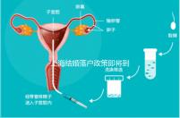 上海結婚落戶政策即將到來，包括2024年黃浦區詳細的戶籍流程