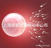上海集愛試管成功率公布，排名輕松進(jìn)入全國前二十！