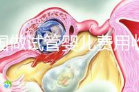 中國(guó)做試管嬰兒費(fèi)用收費(fèi)價(jià)目表一覽，包含具體成本預(yù)算