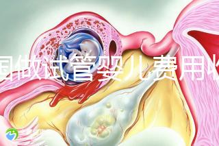 中國做試管嬰兒費用收費價目表一覽,包含具體成本預(yù)算