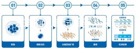 東莞有幾家試管嬰兒醫(yī)院?不同生殖中心費(fèi)用和成功率詳解