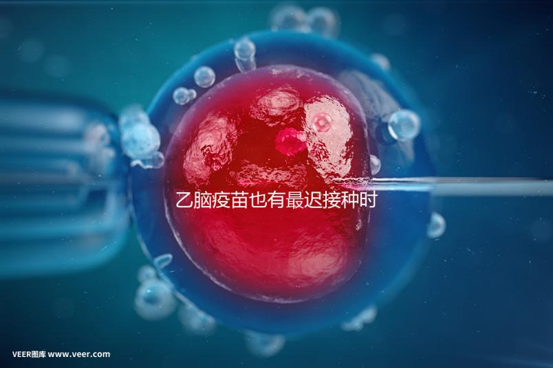 乙腦疫苗也有最遲接種時間，超過這個年齡段打效果差很多