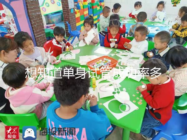 想知道單身試管成功率多少看這,過來人真實(shí)案例揭秘真相