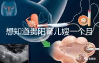 想知道貴陽育兒嫂一個月戳多少錢，云巖2萬夠不夠