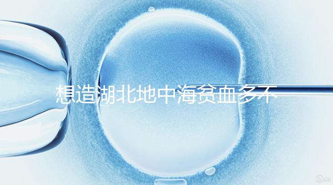 想造湖北地中海貧血多不多戳，武漢發病率高不高看這篇