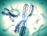 懷疑自然周期卵泡是否不長(zhǎng)，張力差是否可以移除囊胚，并揭示答案