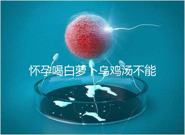 懷孕喝白蘿卜烏雞湯不能止孕吐？選對做法安胎又養顏