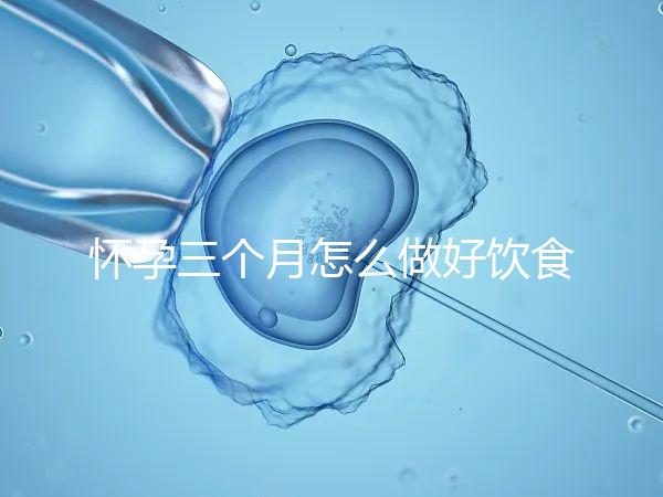 懷孕三個月怎么做好飲食安排？