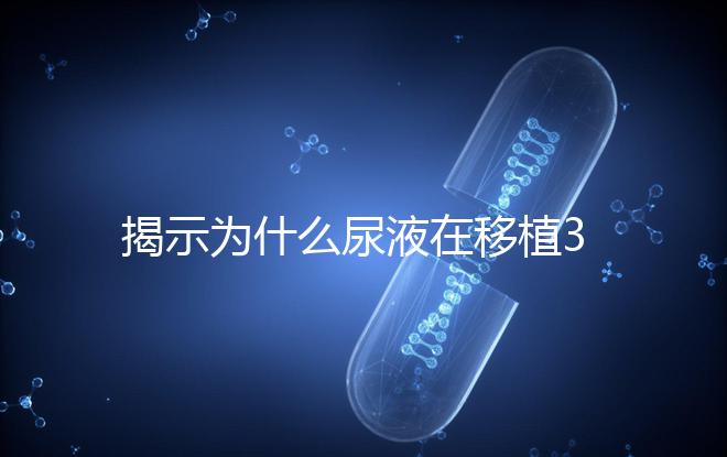 揭示為什么尿液在移植30天后需要稀釋才能測(cè)量,正常情況下不一目了然