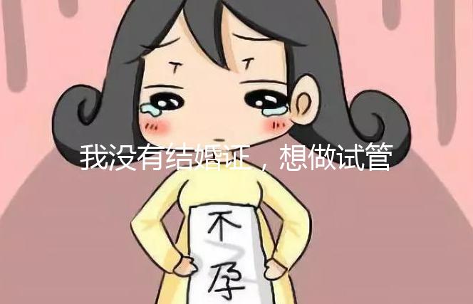 我沒(méi)有結(jié)婚證,想做試管嬰兒,可以做嗎?