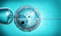 打促排卵針是什么意思？一種能增加懷孕幾率促排方法