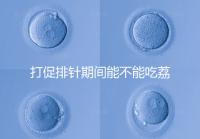 打促排針期間能不能吃荔枝看月份,想促進(jìn)卵泡發(fā)育別亂食用