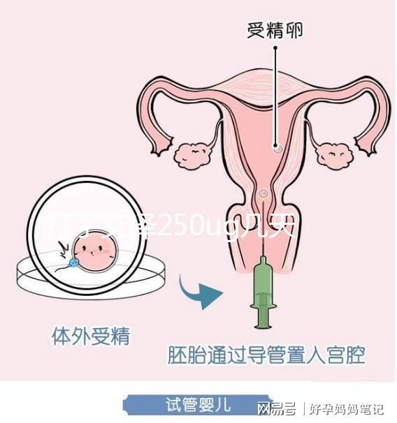 打了艾澤250ug幾天能代謝完戳，第十天別還不敢走下一步