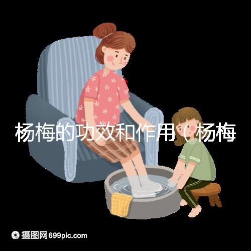 楊梅的功效和作用(楊梅的功效和作用禁忌 營養價值)