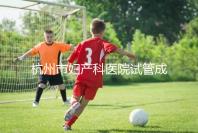 杭州市婦產科醫(yī)院試管成功率猛增到80%?過來人道出了真相